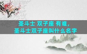 圣斗士 双子座 有谁，圣斗士双子座叫什么名字